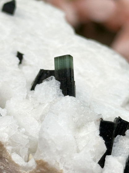 Green Elbaite Tourmaline & Albite