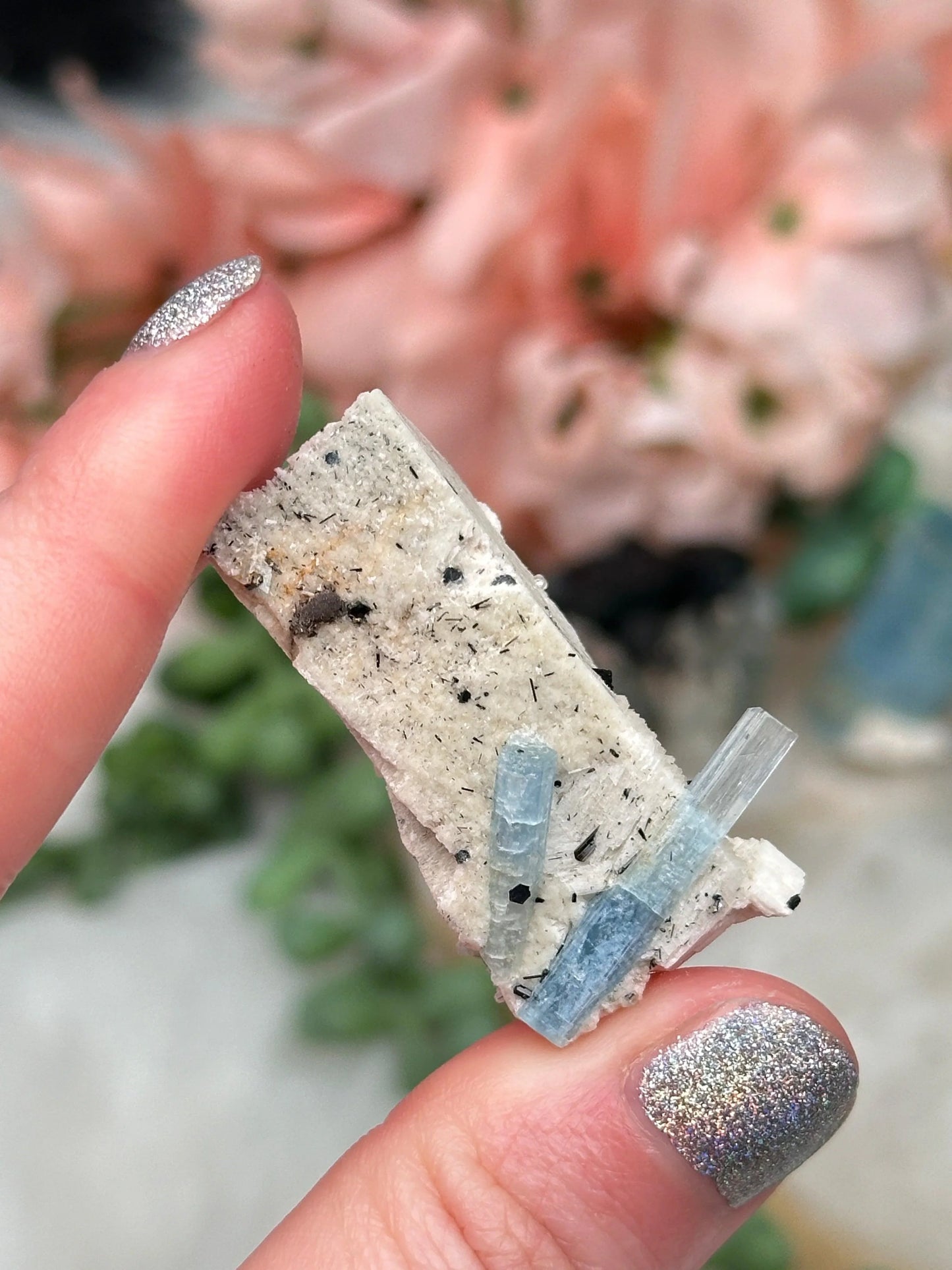 Namibia Aquamarine & Beryl