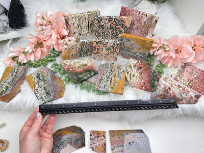 Colorful Ocean Jasper Slices