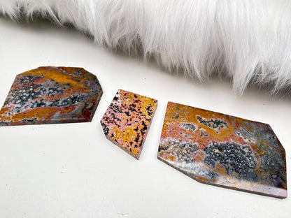Colorful Ocean Jasper Slices