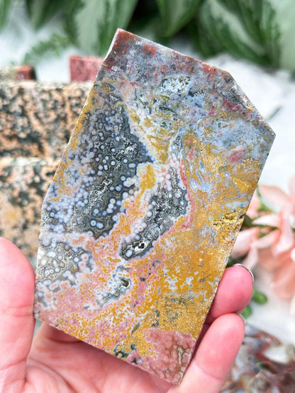 Colorful Ocean Jasper Slices