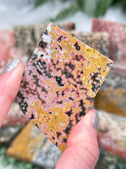 Colorful Ocean Jasper Slices