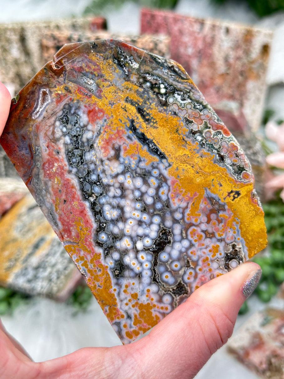 Colorful Ocean Jasper Slices