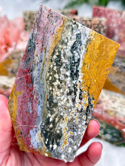 Colorful Ocean Jasper Slices