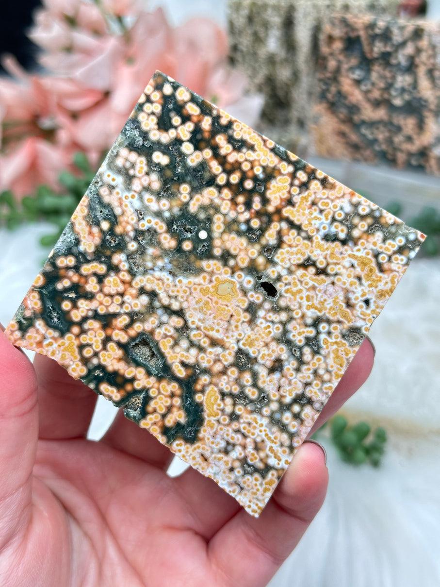 Colorful Ocean Jasper Slices