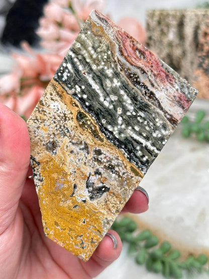 Colorful Ocean Jasper Slices