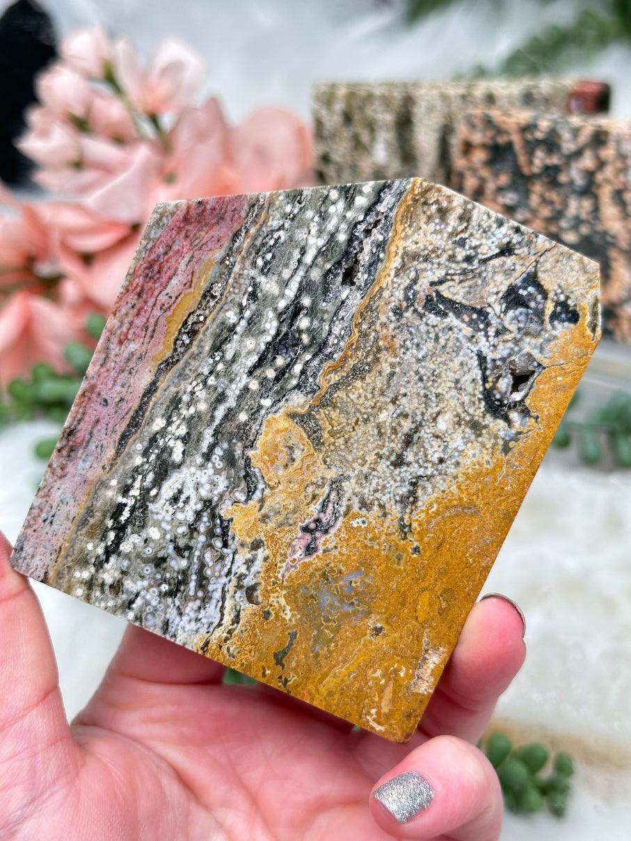 Colorful Ocean Jasper Slices