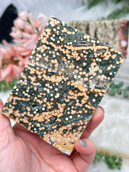 Colorful Ocean Jasper Slices