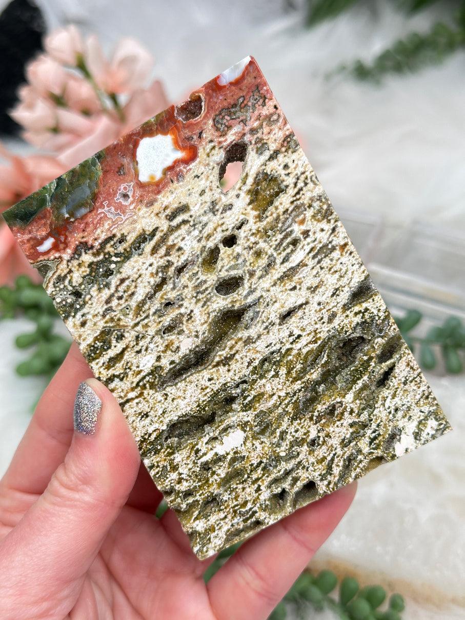 Colorful Ocean Jasper Slices