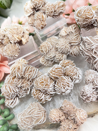 Desert Rose Selenite