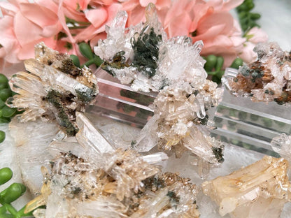 Golden Chlorite Colombian Quartz