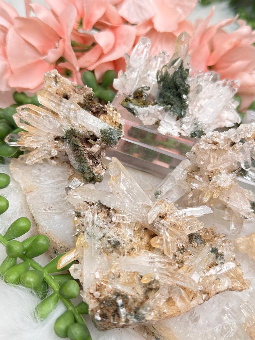 golden-healer-chlorite-quartz