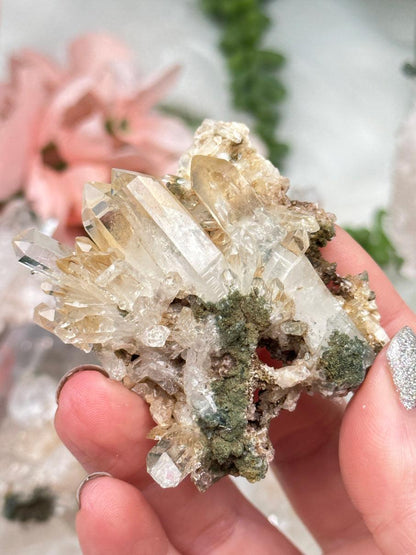 Golden Chlorite Colombian Quartz