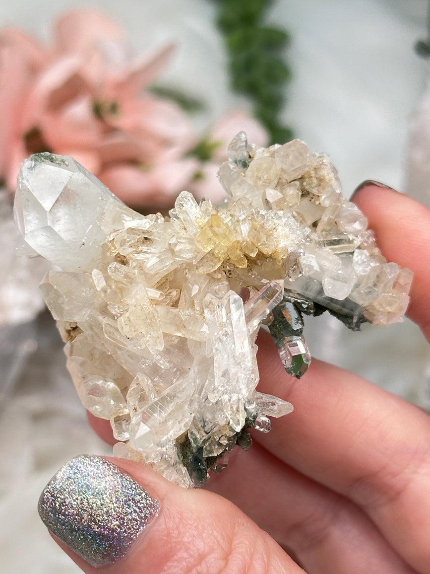 Golden Chlorite Colombian Quartz