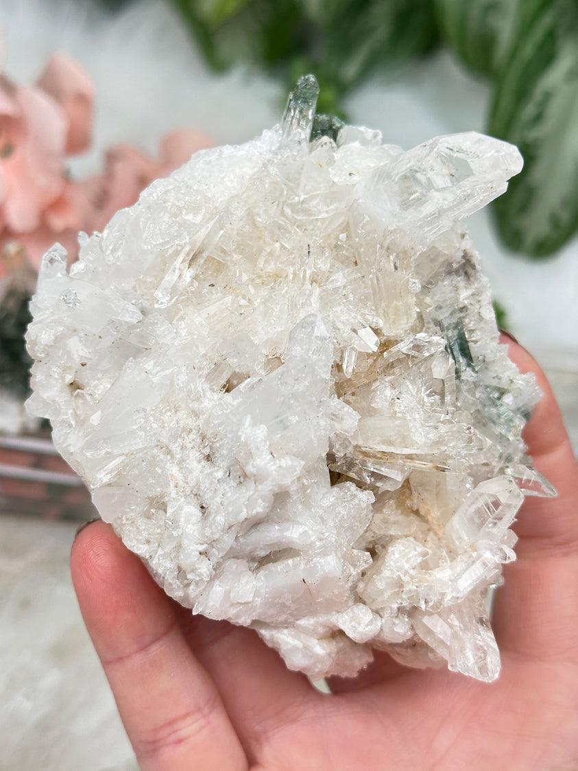 Golden Chlorite Colombian Quartz