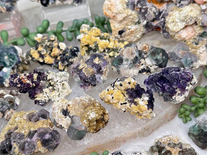 Namibia Fluorite Clusters