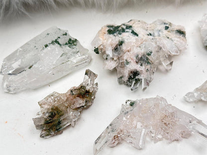 Green Chlorite Colombian Quartz