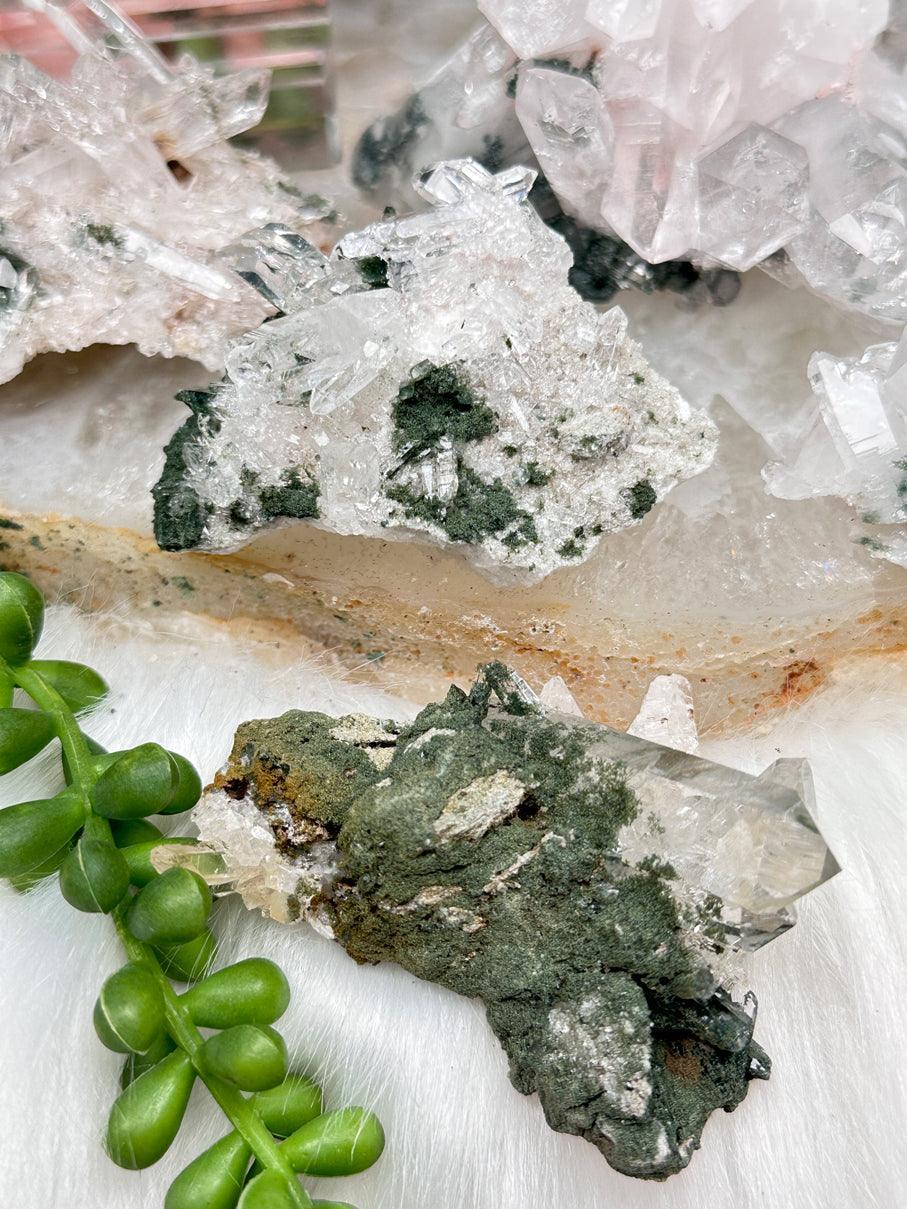 Green Chlorite Colombian Quartz