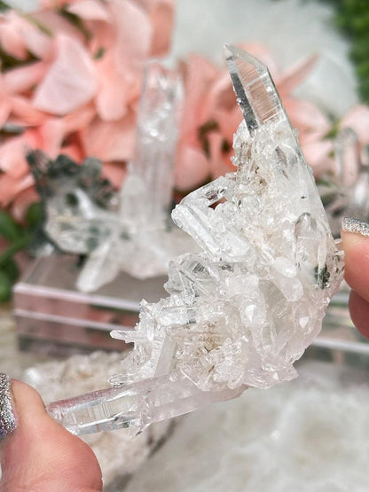 Green Chlorite Colombian Quartz