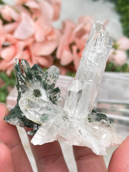 Green Chlorite Colombian Quartz