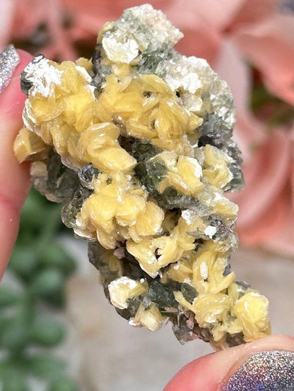 Namibia Fluorite Clusters