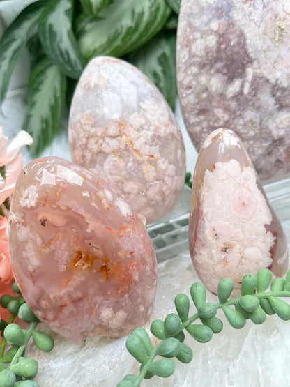 Flower Agate Freeforms