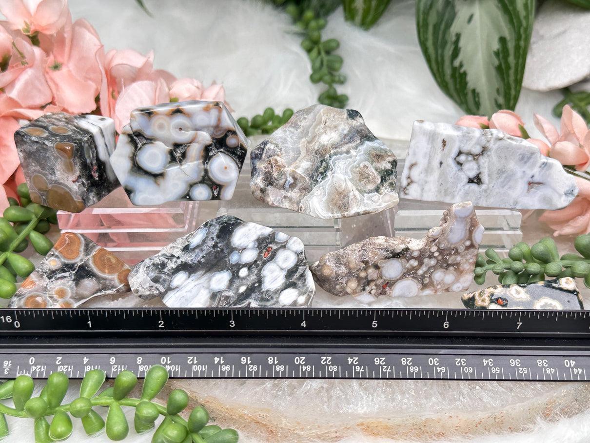 gray-white-ocean-jasper