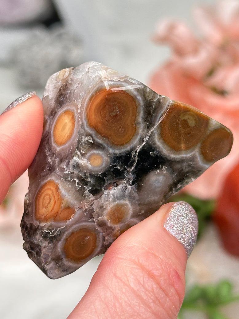8th Vein Ocean Jasper Pieces
