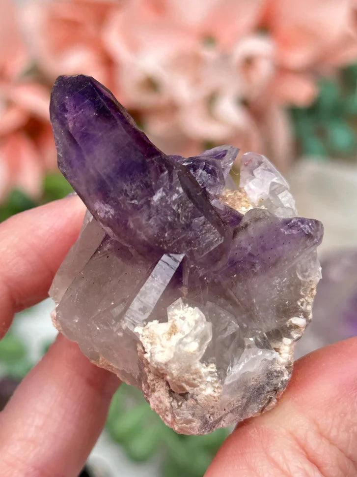 Namibia Amethyst Specimens