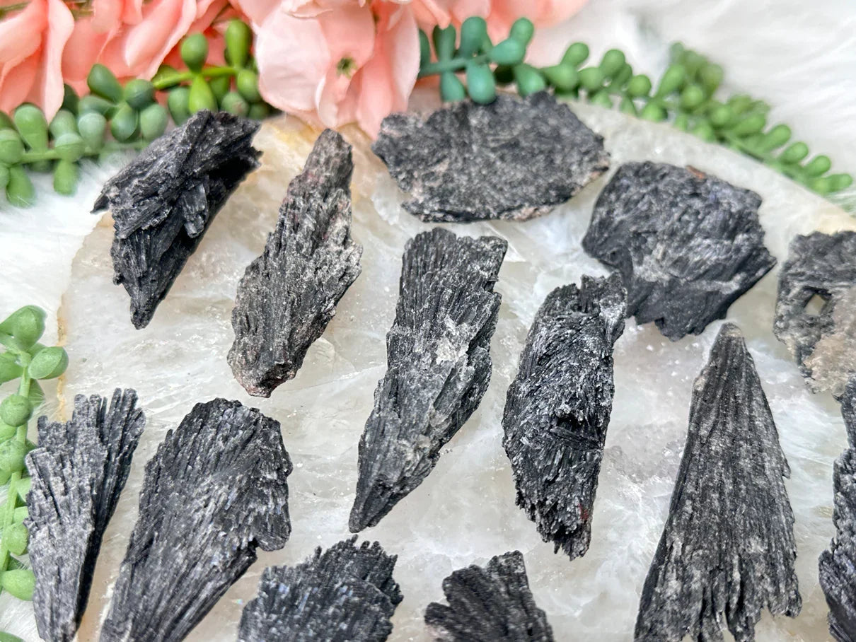 Black Kyanite Fans from Brazil for Sale