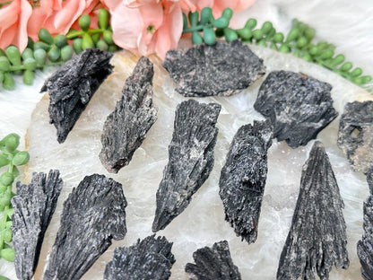 Black Kyanite Fans from Brazil for Sale