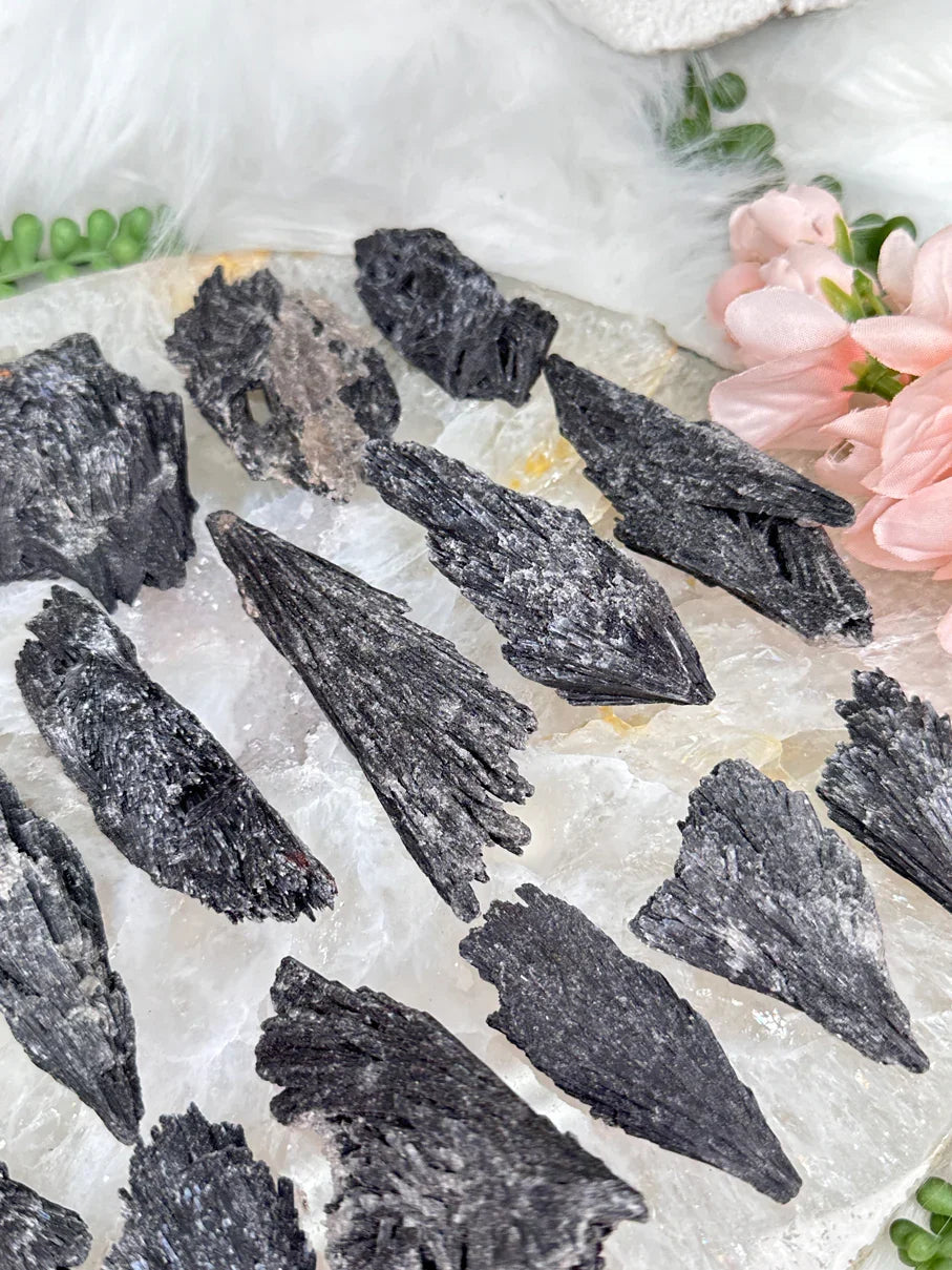 Black Kyanite Fans from Brazil 