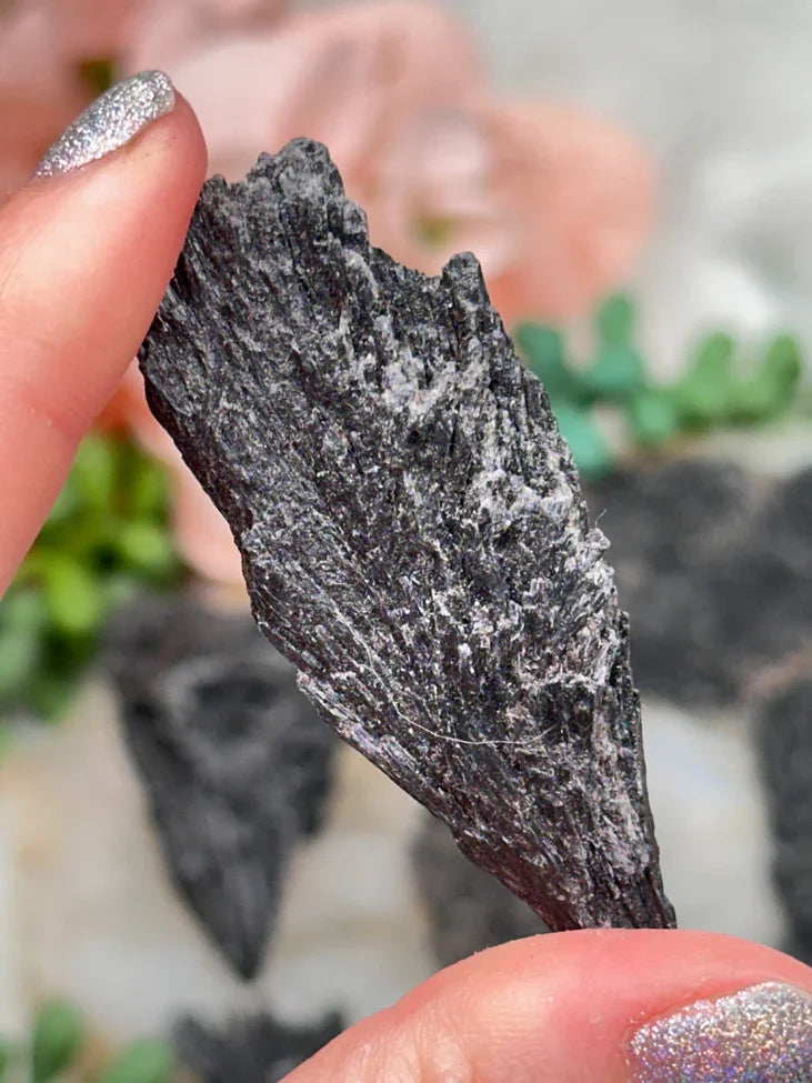 Black Kyanite Fans from Brazil for Sale - Choose Exact!
