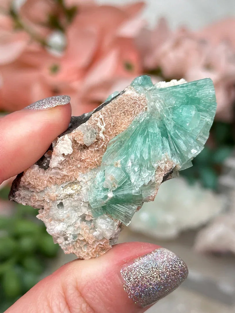 Small Zeolite Clusters