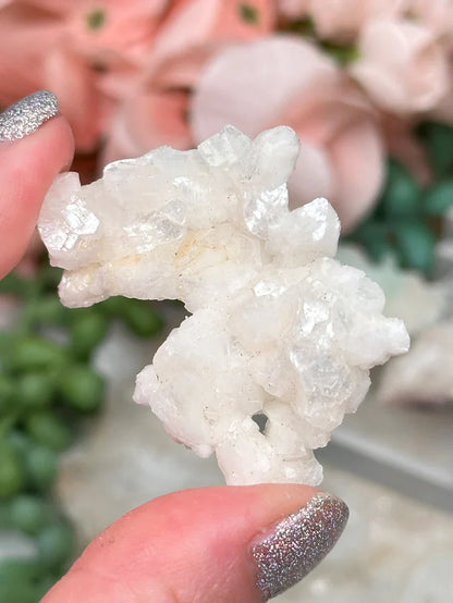 Small Zeolite Clusters