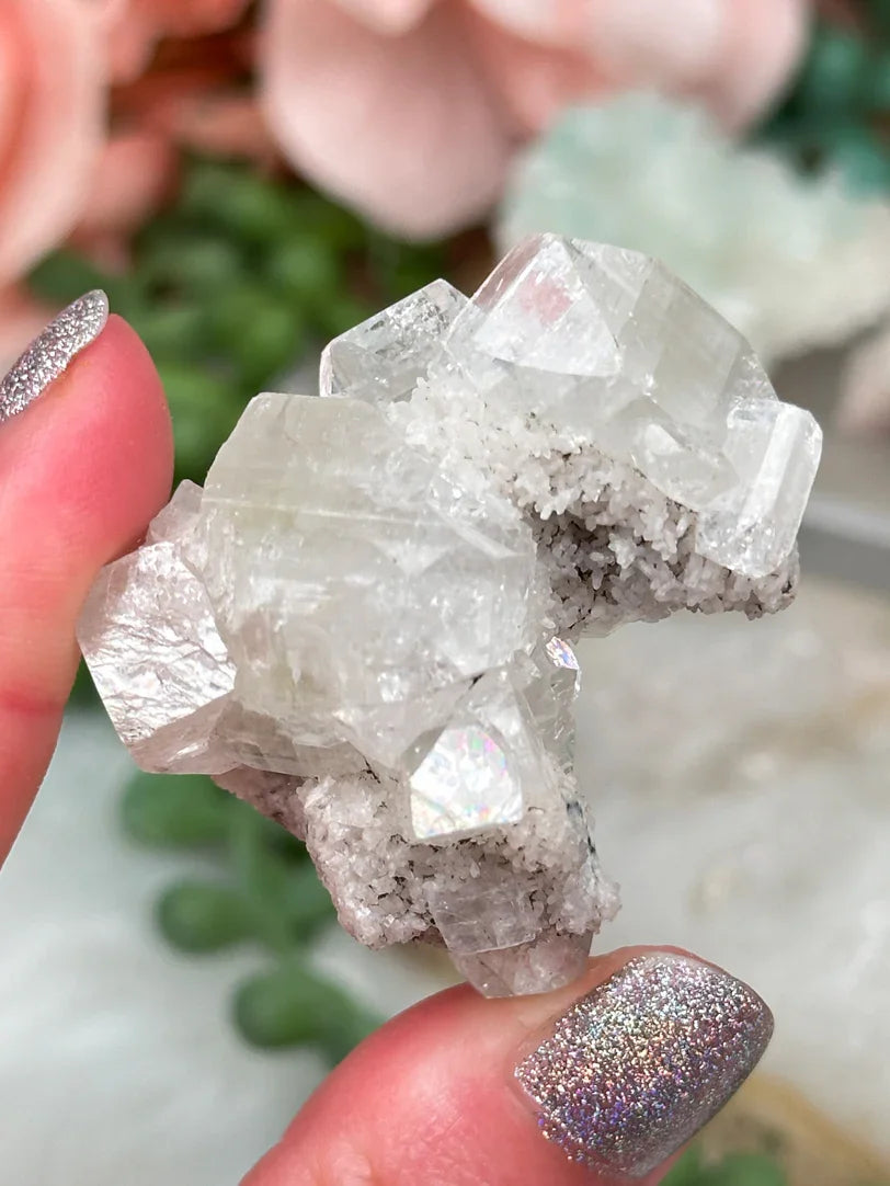 Small Zeolite Clusters