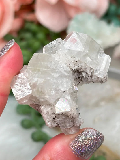 Small Zeolite Clusters