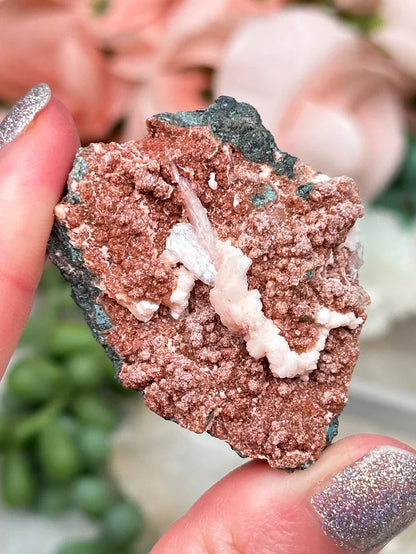 Small Zeolite Clusters