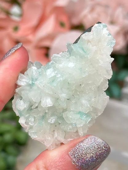 Small Zeolite Clusters