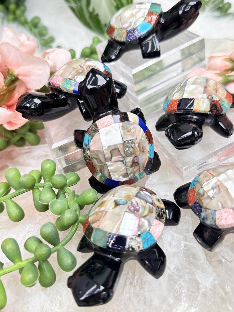 obsidian-turtle-abalone-shell