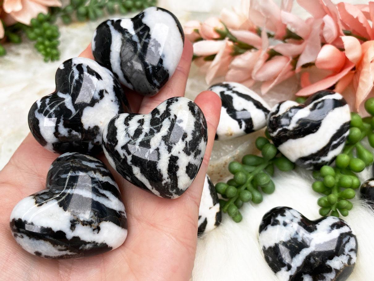 Zebra-Jasper-Hearts