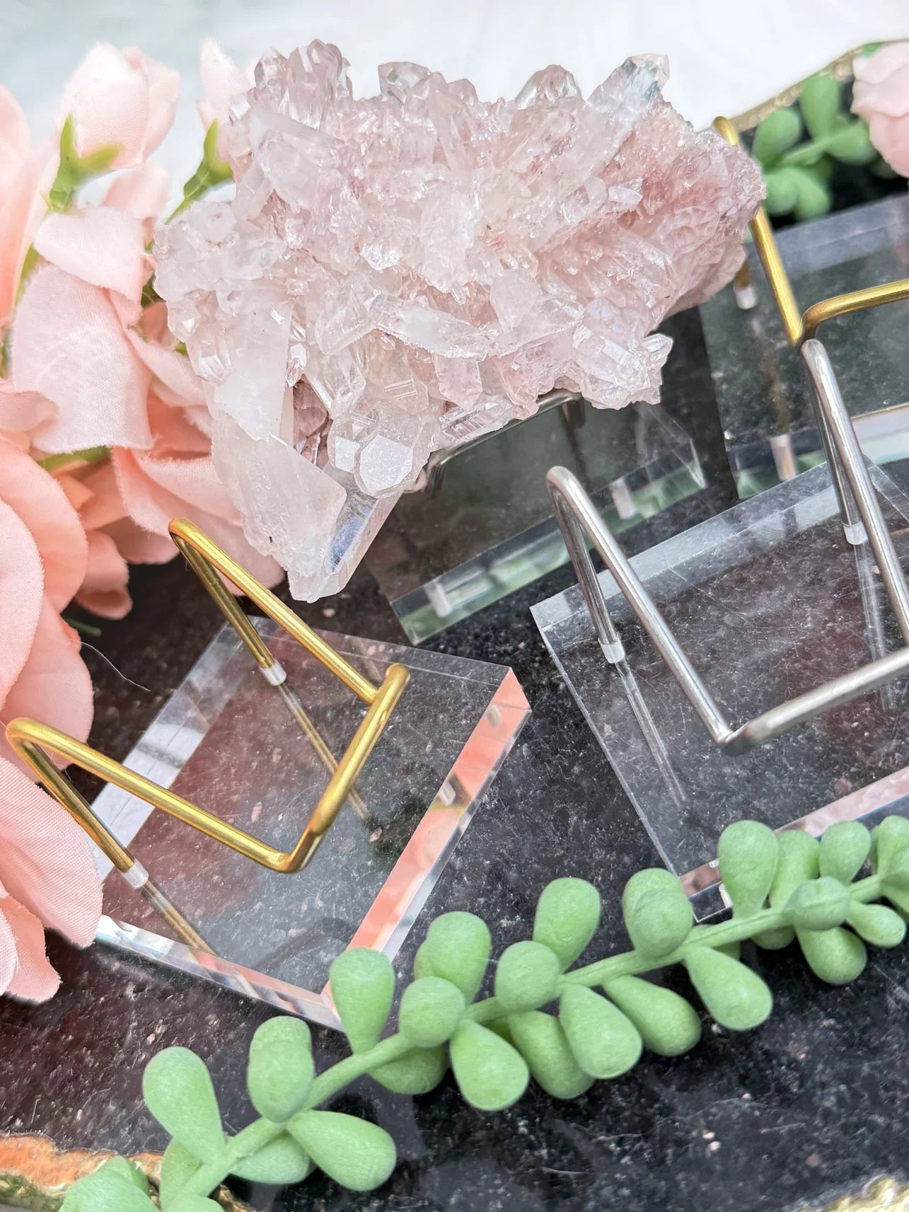 Acrylic Metal Specimen Stand