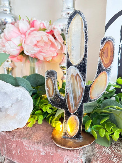 agate-cactus-home-decor