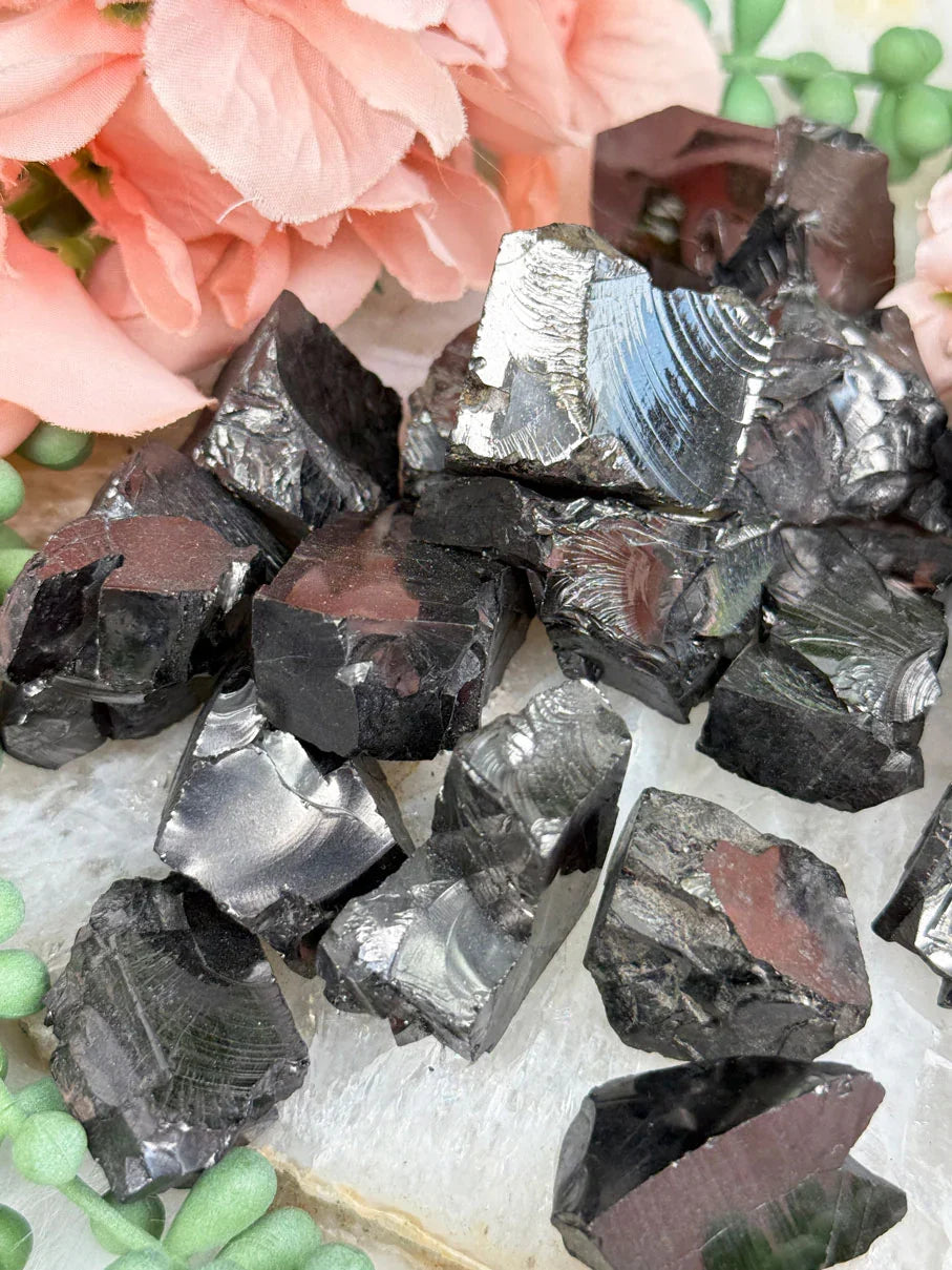 black-colombian-raquerite