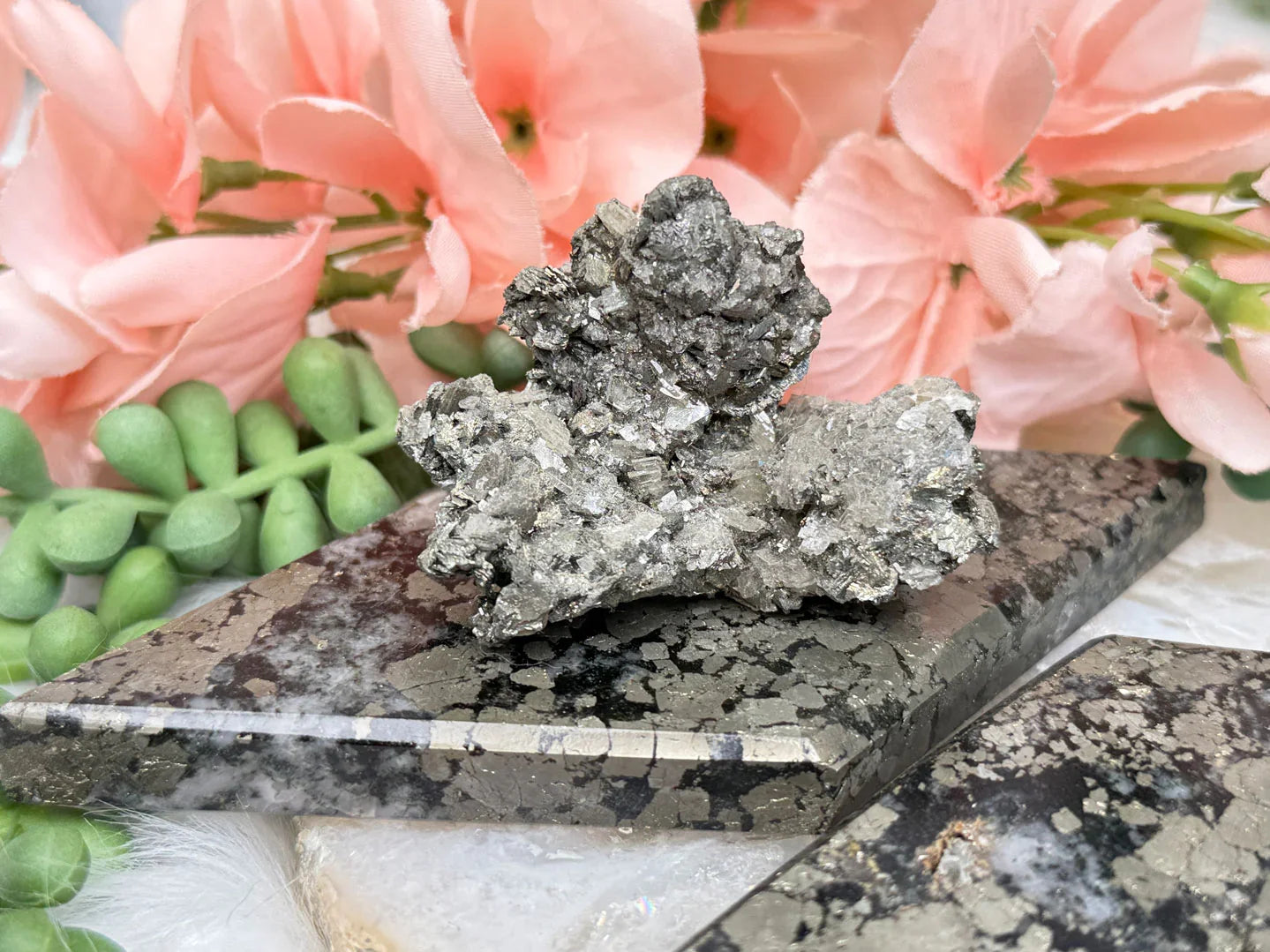 black-gold-pyrite-slab-display