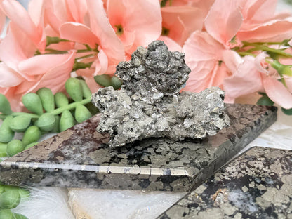 black-gold-pyrite-slab-display