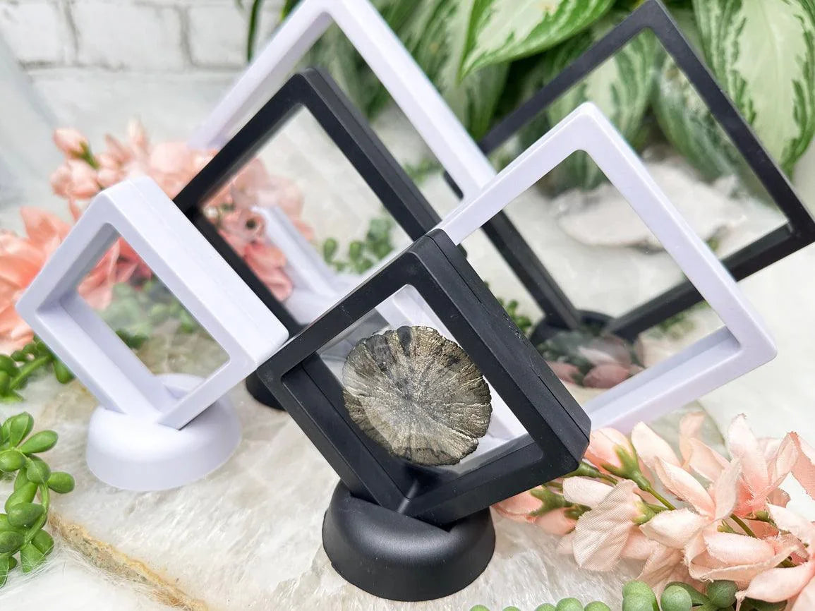 black-white-plastic-crystal-stands