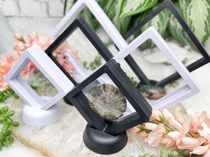 black-white-plastic-crystal-stands