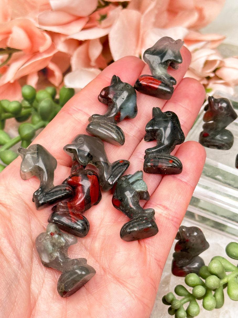 bloodstone-dolphins