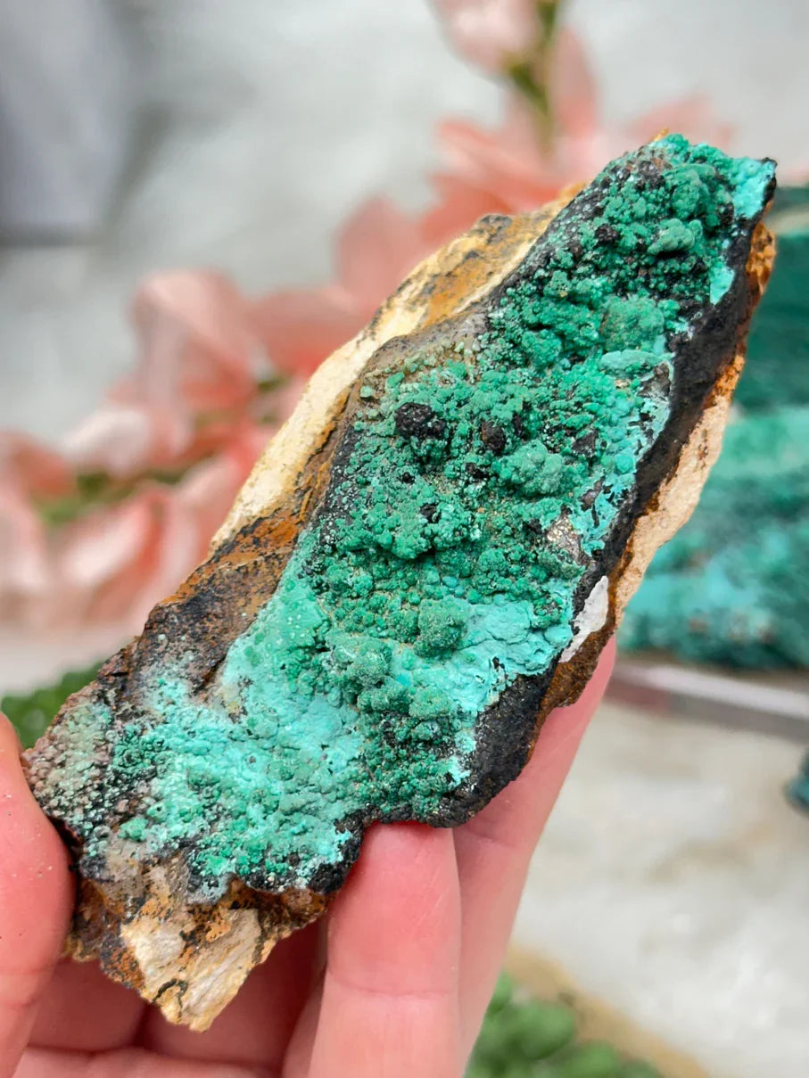botryoidal-malachite-on-chrysocolla